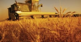 Natječaj za provedbu Podmjere 3.1. „Potpore za novo sudjelovanje u sustavima kvalitete“ – provedba tipa operacije 3.1.1. „Potpora za sudjelovanje poljoprivrednika u sustavima kvalitete za poljoprivredne i prehrambene proizvode i u sustavu ekološke poljoprivredne proizvodnje