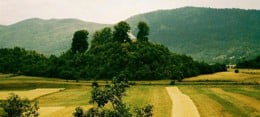 Ograničeni poziv na dostavu projektnih prijedloga – Natječaj za provedbu podmjere 4.3. „Potpora za ulaganja u infrastrukturu vezano uz razvoj, modernizaciju i prilagodbu poljoprivrede i šumarstva“, tipa operacije 4.3.3. „Ulaganje u šumsku infrastrukturu« iz Programa ruralnog razvoja Republike Hrvatske za razdoblje 2014. – 2020.“