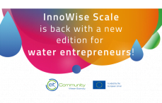 InnoWise Scale
